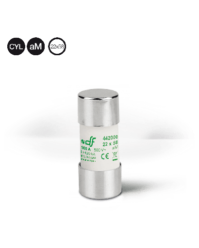 Fusible DF ELECTRIC curva aM; 40A; 690VAC; 22x58mm con Striker