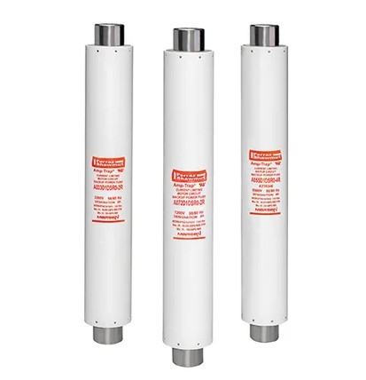 Fusible para motores R-rated 5.5kV Max. DIN IEC Style 442 mm marca Mersen (Ferraz)
