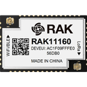 Dual-Core Module for LoRaWAN® con WiFi & BLE RAK11160