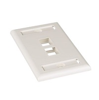 Panduit NetKey Faceplate 02 puertos Blanco