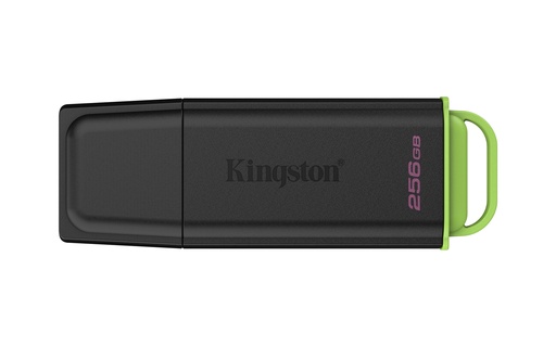 Kingston Technology DataTraveler 256GB Portátil USB 3.2 Gen 1 Exodia Negro + Verde