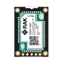 WisMesh RP2040 Starter Kit - Meshtastic RAK11310 (9XX MHz)
