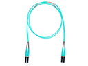 Panduit Opti-Core - Patch cable - LC multi-mode M to LC mu